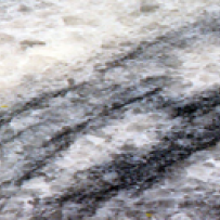 Gray Siboney Marble 