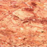 Rojo Campiña Marble