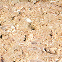 Jaimanitas Havana